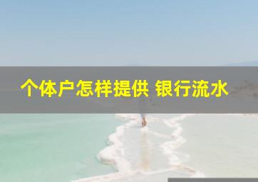 个体户怎样提供 银行流水